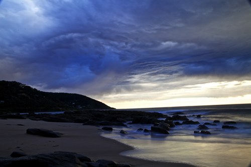 Tezydog's profile picture. Enjoy the moment.