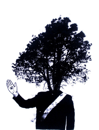 monoconsu3rt3's profile picture. 