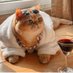 CryptoKitty 🤠 (@kittysake) Twitter profile photo CryptoKitty 🤠 (@kittysake) Twitter profile photo