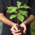 North America Forests (@namericaforests) Twitter profile photo North America Forests (@namericaforests) Twitter profile photo
