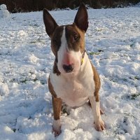 James Wilkinson (@jamesalk3) 's Twitter Profile