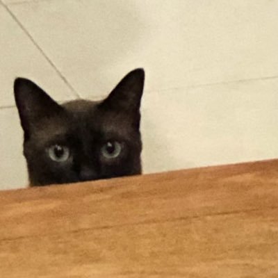 abudabekakapuu's profile picture. 