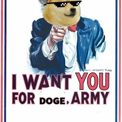 dogecoinL0VE's profile picture. Dogecoin to the moon | DogeArmy