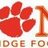 CambridgeLions's profile image