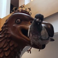 Àliga de Mataró (@aliga_mataro) 's Twitter Profile