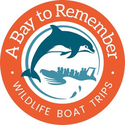 A Bay To Remember - Wildlife Boat Trips from Cardigan, THE best place in Europe to see Bottlenose Dolphins, plus great Sea Caves, Seals and Birds