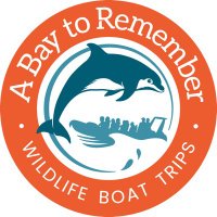 A Bay To Remember(@ABAYTOREMEMBER) 's Twitter Profile Photo