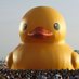 RubberDucky1157 (@rubberducky1157) Twitter profile photo RubberDucky1157 (@rubberducky1157) Twitter profile photo