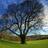 infaithtoday's profile image