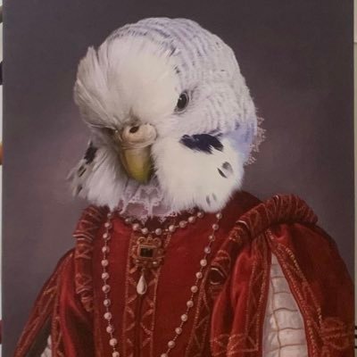 arwen3434's profile picture. 🌝🌝