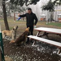 blntckmk 52🟢 🟢 🟢 🇹🇷 (@blntckmk1) 's Twitter Profile