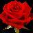sabadabi's profile image