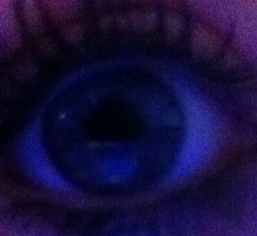 googie___'s profile picture. 