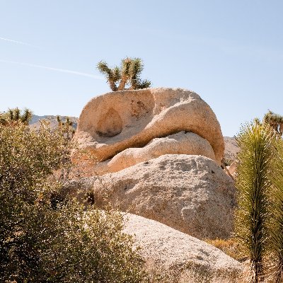 PamDineva's profile picture. 