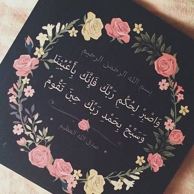 6th year medical student at faculty of medicine mansoura university