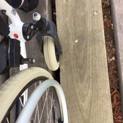 Sandynotabot's profile picture. living on Meru land, she/her