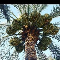 bsa—-5000 (@5000bsa) Twitter profile photo