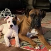 Cameron Rosser (@acuwildcat71) 's Twitter Profile Photo