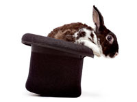 AbracadabraLtd's profile picture. Master Magicians for Hire