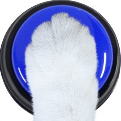 Recordable Buttons for Dogs + Cats - Teach them to talk!