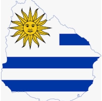 URUGUAY2021unid's profile picture. Somos uruguayos, nos une un sentimiento y no existe antipatriota que nos desestabilice. 
Cada vez con más fuerza SOY CELESTE! 💙🇺🇾🇺🇾