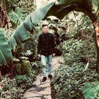 Aurelius (@aureliuscoc) 's Twitter Profile