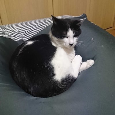 tkdaneco's profile picture. 30代エンジニア。Kubernetes/OpenShift/AWS
■保有資格:AWS-SAA