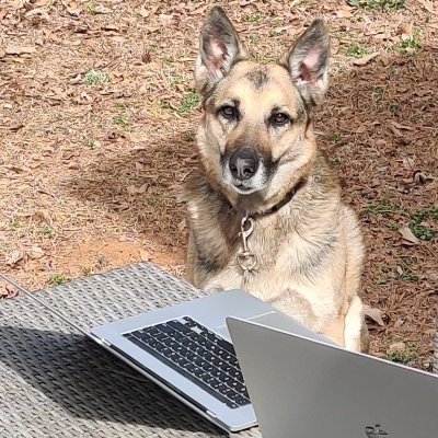 Mc_caelan's profile picture. Christian, Reformed, Software Engineer, Consultant, Weight lifter