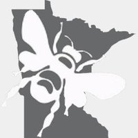 Minnesota Bumble Bee Atlas (@mnbumblebees) 's Twitter Profile Photo Minnesota Bumble Bee Atlas (@mnbumblebees) 's Twitter Profile Photo