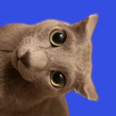 ۬さんのプロフィール画像