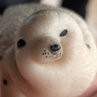えらいこちゃんさんのプロフィール画像