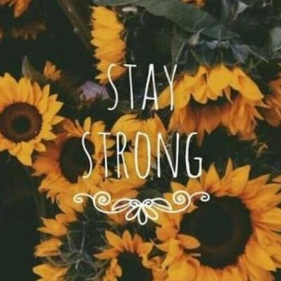 LinaAra25902972's profile picture. 