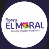 Flores El Moral(@floreselmoral) 's Twitter Profile Photo