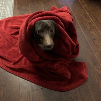 FosterRhondal's profile picture. loves to sing