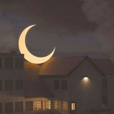 MAbdullah2023's profile picture. 