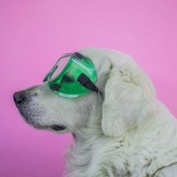 thebaffledengineer (@thebaffledengg) 's Twitter Profile