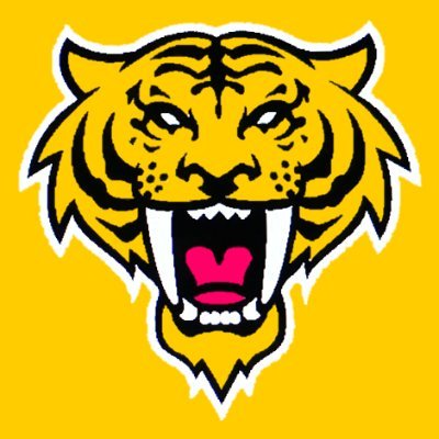 Official Twitter account of the Arizona Gilbert Tigers Hockey Team @alecqhl. Proudly owned by @TigerManager. #OnwardTigers