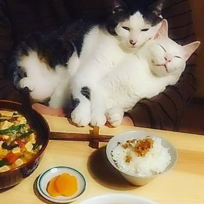 RylieKor's profile picture. nothing