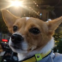 Huy (@huy15292984) 's Twitter Profile