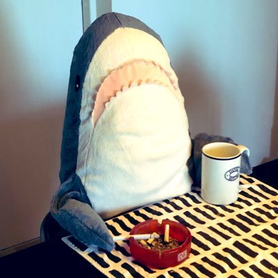 はしもっちさんのプロフィール画像