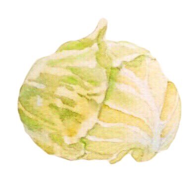 吉田😴さんのプロフィール画像