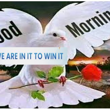 aaserra5's profile picture. AAI Liezel is the Founder of Acquisition Alliance School of Prosperity. https://t.co/QJZGIoGfYn