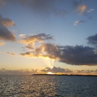 JF COMMAILLE (@jf_commaille) 's Twitter Profile Photo