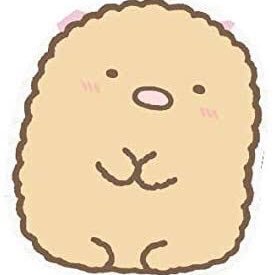 すみっコぐらし とんかつくん好き (@sumikkotonkatu0) / Posts / X