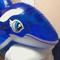 カズ KZ (@kazboy03orca) 's Twitter Profile