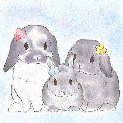 🐰ホーランドロップ こたろう 🐰ネザーランドドワーフとんすけ 🐰ホーランドロップ ごまきち 多頭飼いスクワレル大好き家族(*˙˘˙*)ஐ