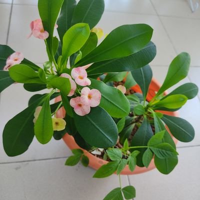 aidanajwa97's profile picture. 