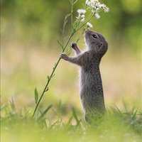 Chatam Ingoldsby ❤️ Memecoin (@chatamingoldsby) 's Twitter Profile