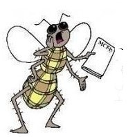 Manchester Climate (@mcr_climate) 's Twitter Profile