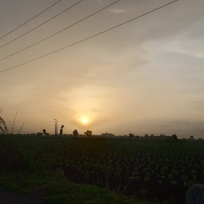 BasopiyaN's profile picture. nb